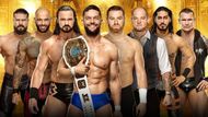 These eight men are a part of the men's money in the bank ladder match.